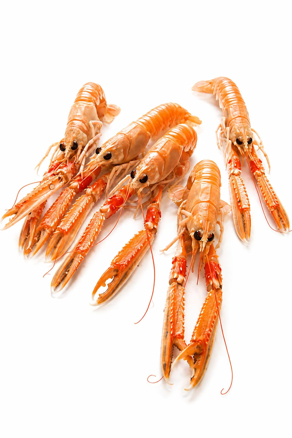 Langoustine Whole (Head-on)