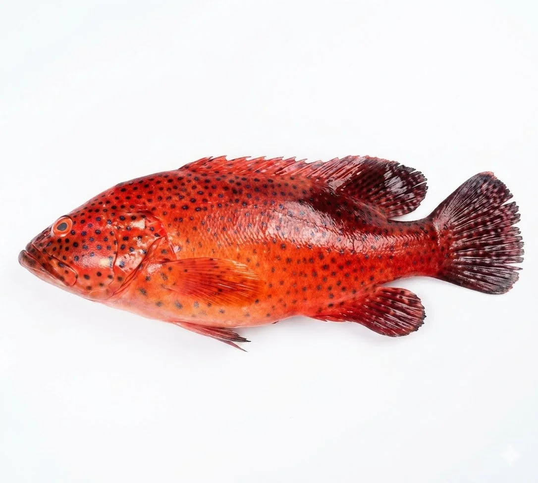 Red Hamour Whole