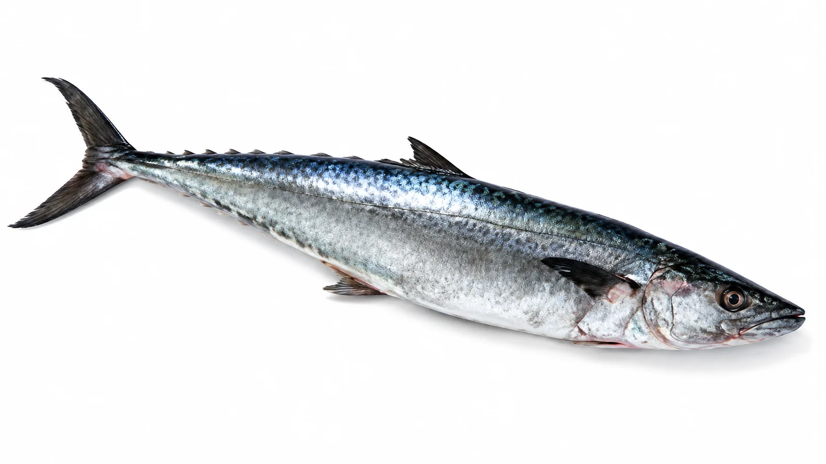 King Fish Whole