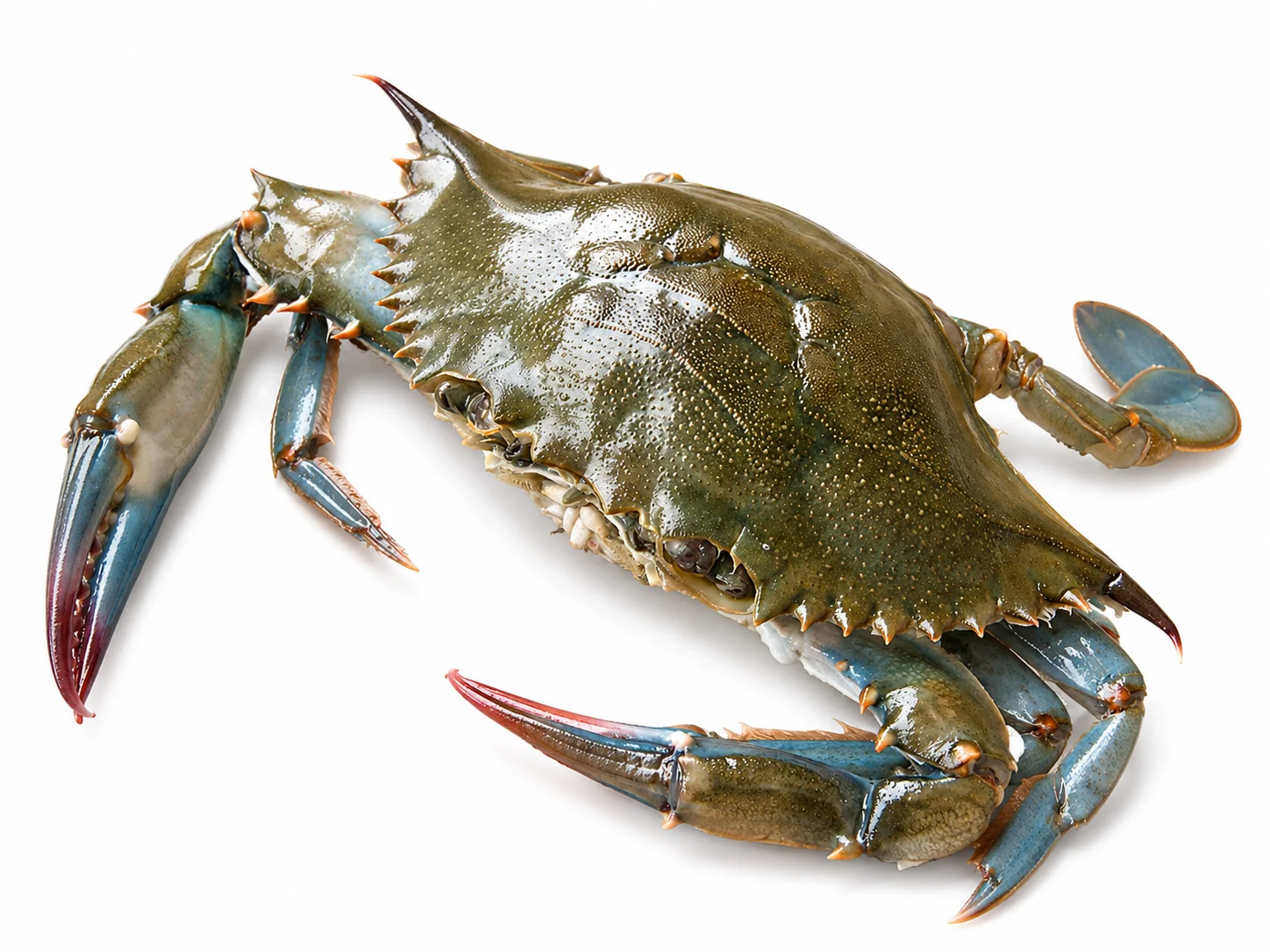 Soft Shell Crab Whole