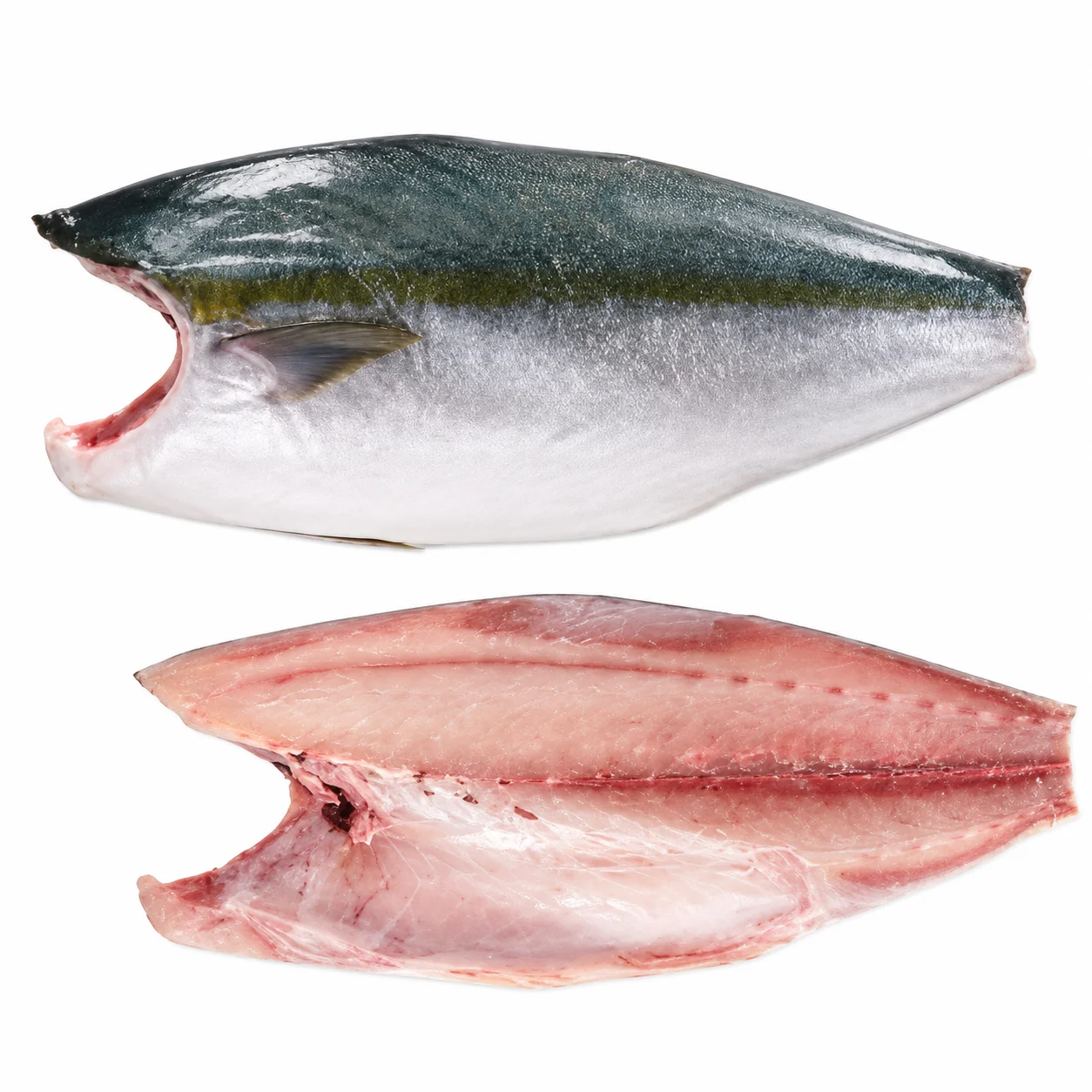 Hamachi Fillet