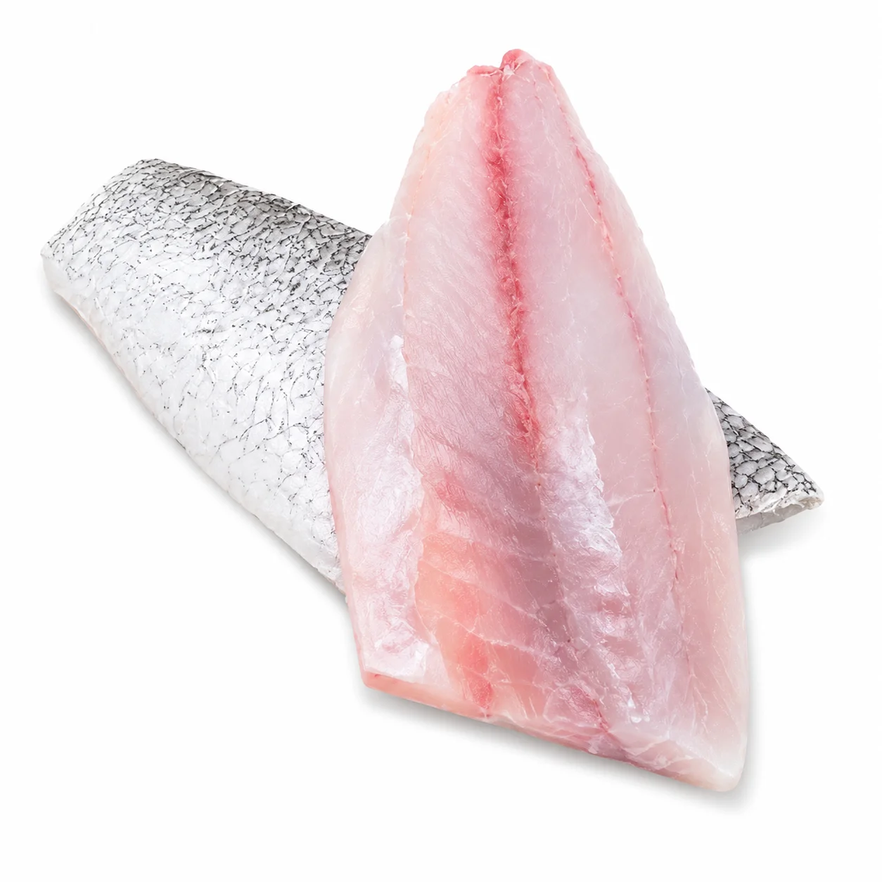 Seabass Fillet