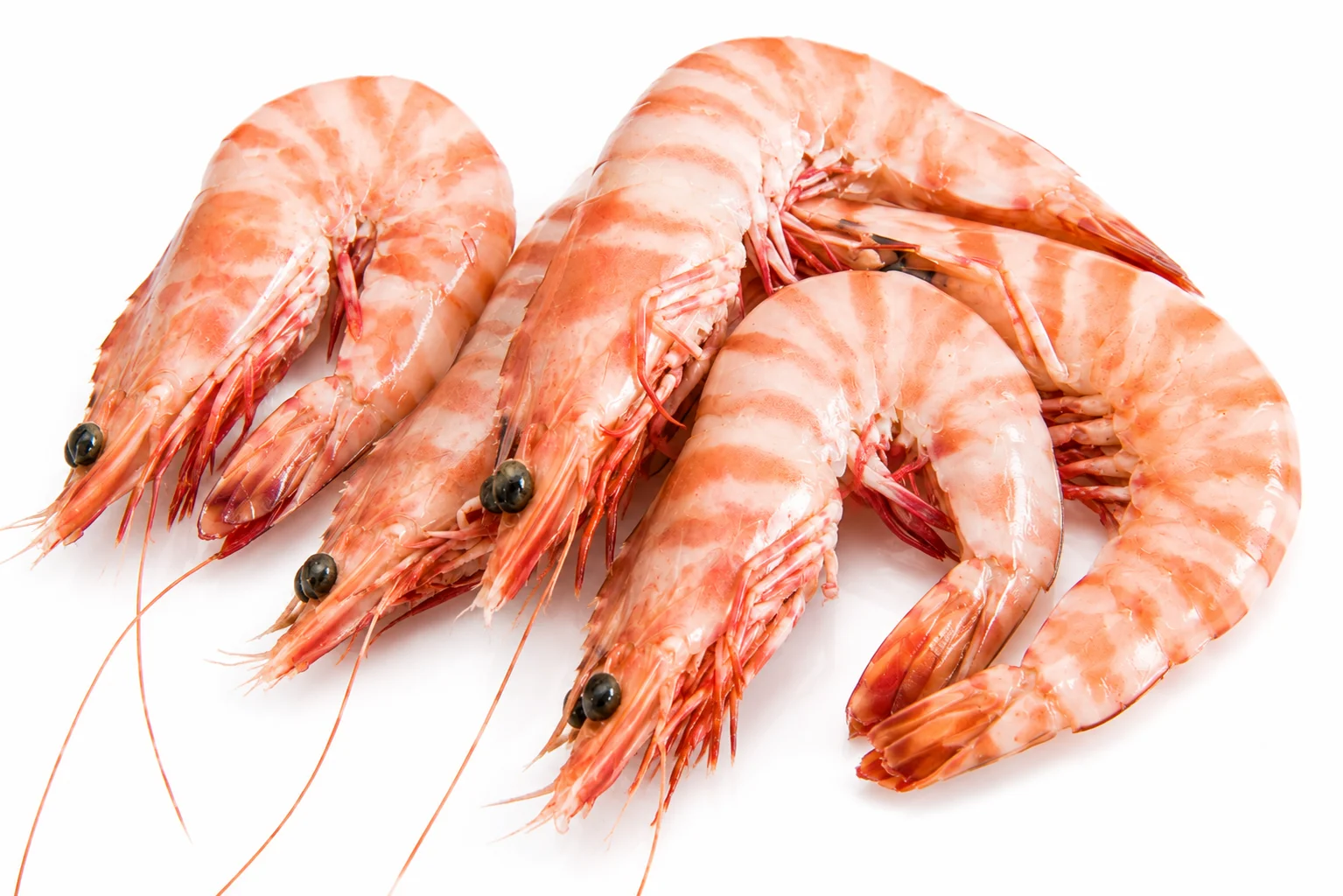 Tiger Prawn (Kuruma)